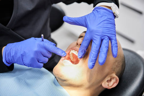 Best Emergency Orthodontic Repairs in Palm River Clair Mel, FL